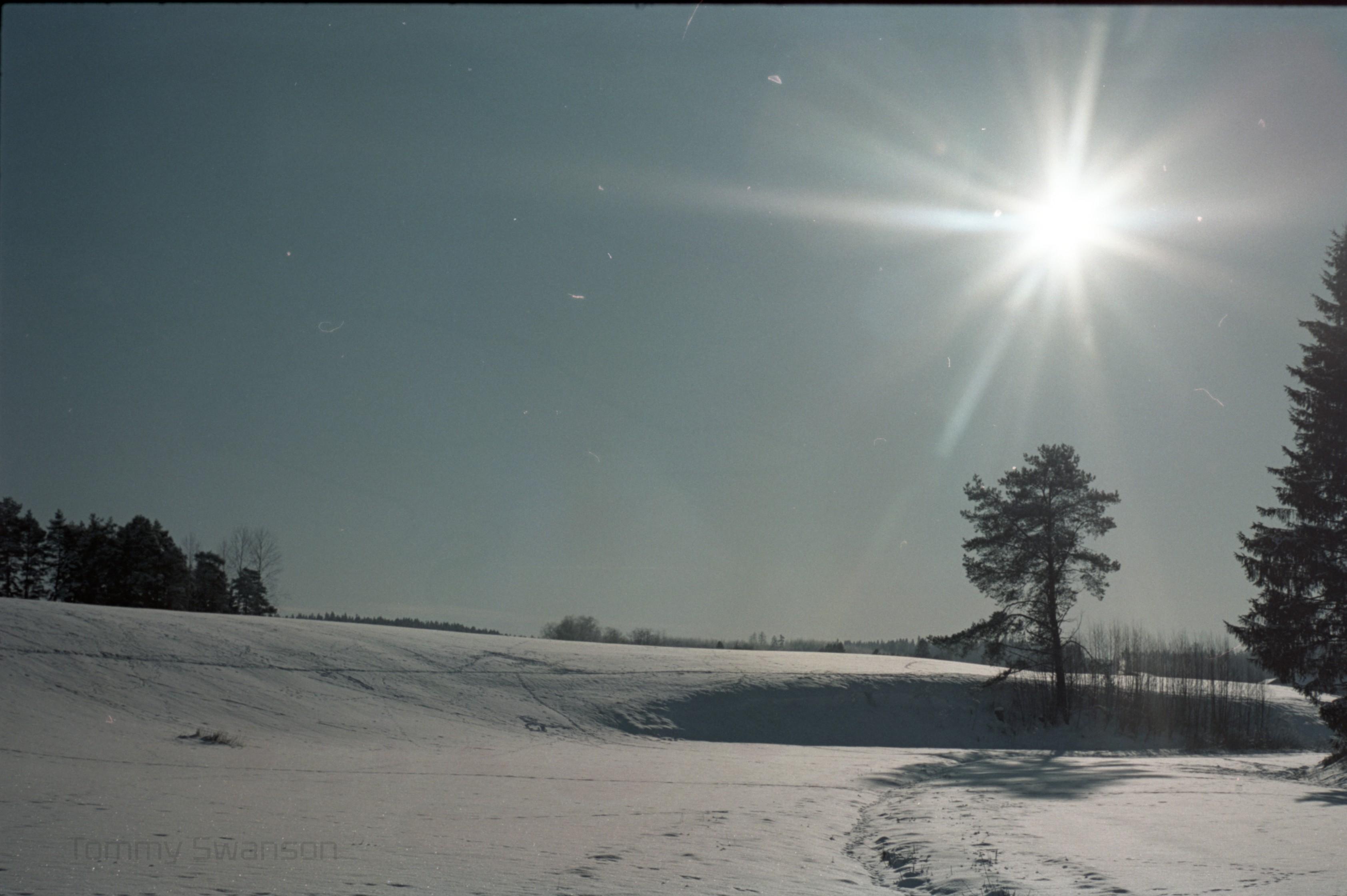 Landscape: Snowy hill, sun shining from a cloudless sky. Directly under the sun is a tree.