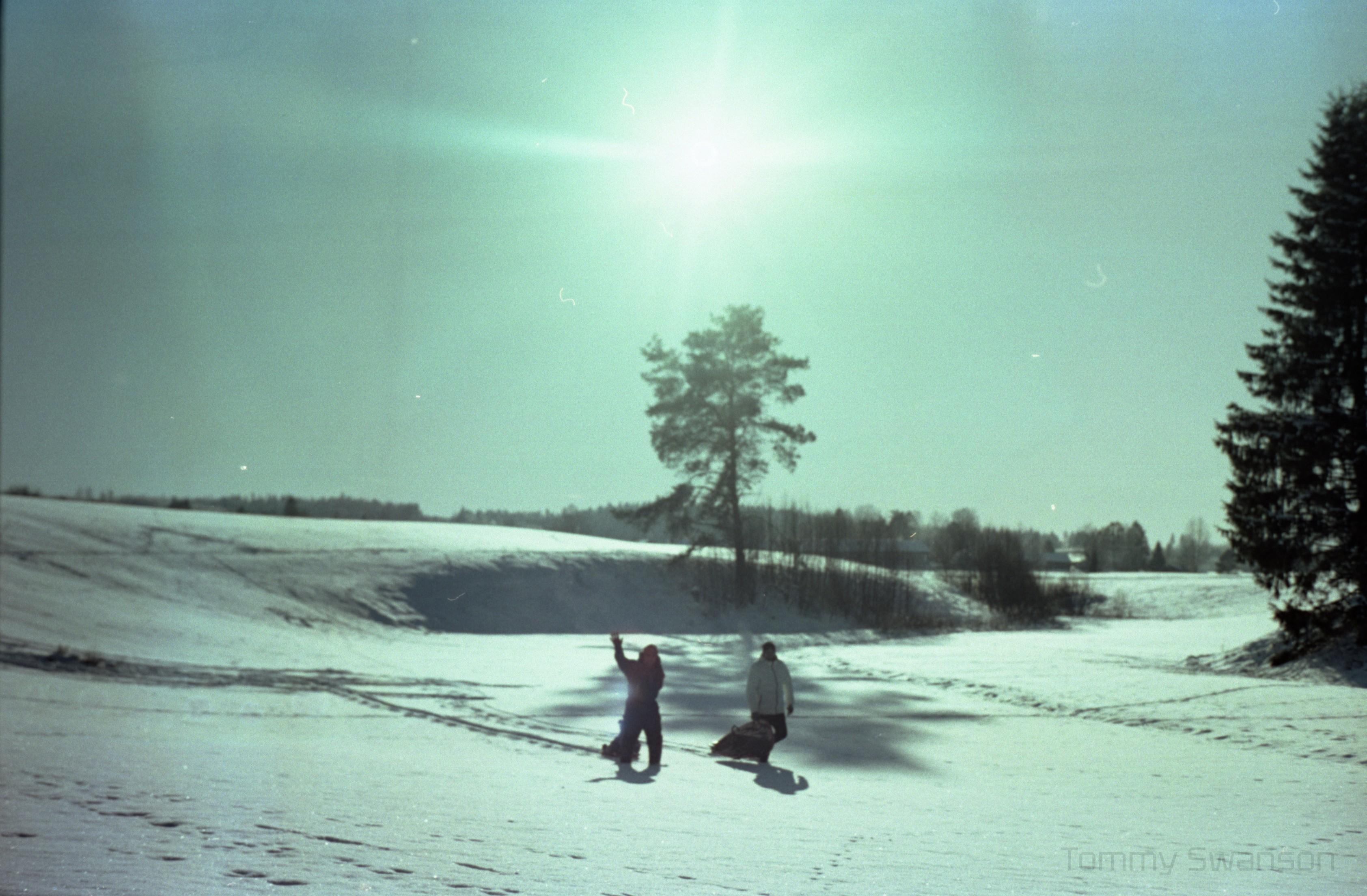 Two men walk back toward the road after sledding down a hill. One of the men waves at the camera. Looking directly at the camera, the sun is in the sky behind the men, and there is a tree between the sun and the men.