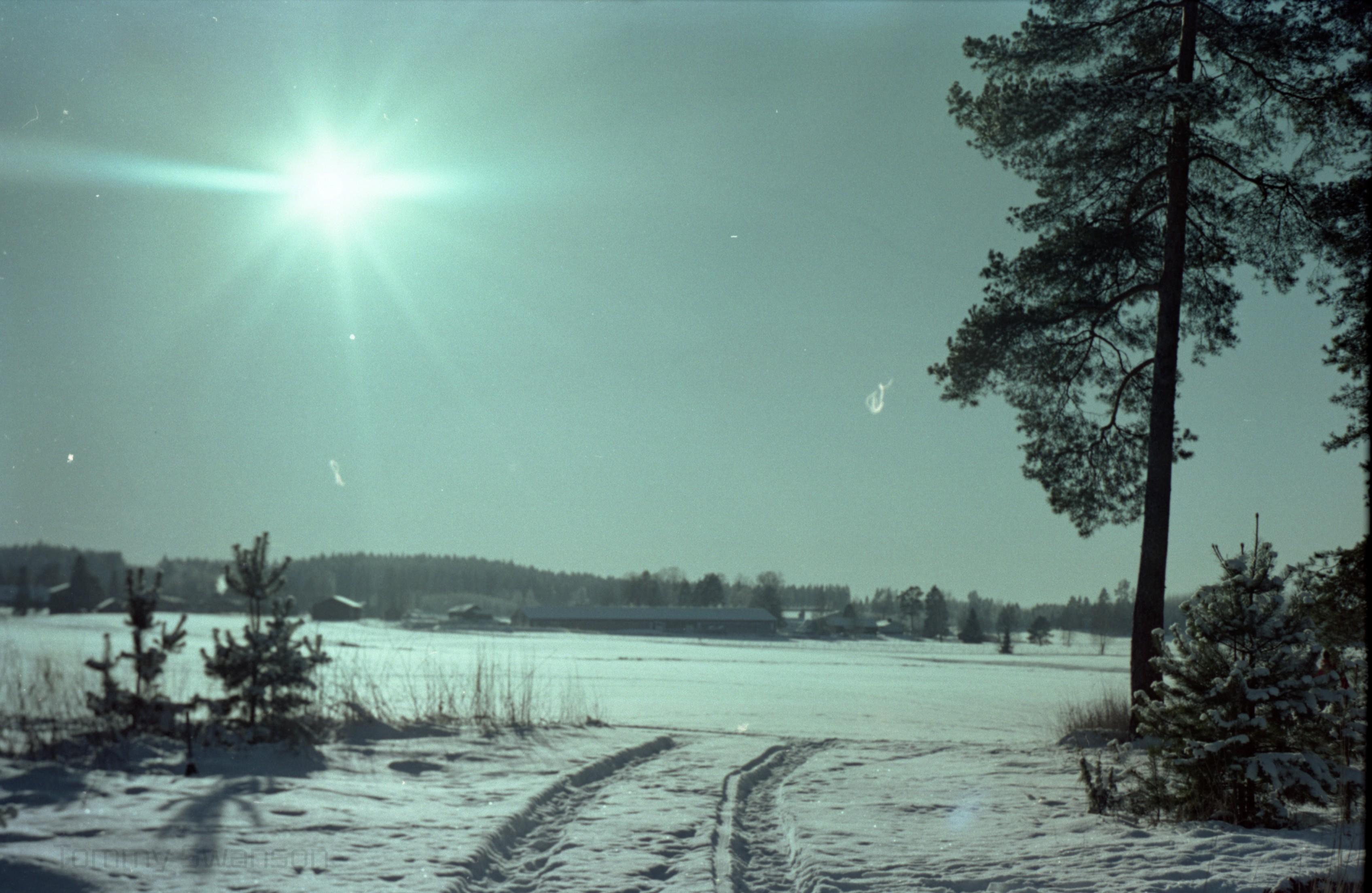 An unplowed road with tire tracks leads toward a field. Once again, the sun shines down from the sky directly into the camera.